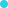 bolita