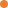 bolita